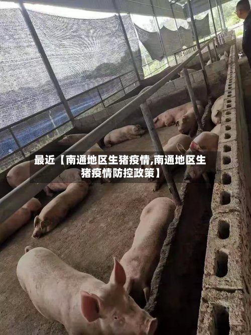 最近【南通地区生猪疫情,南通地区生猪疫情防控政策】-第2张图片