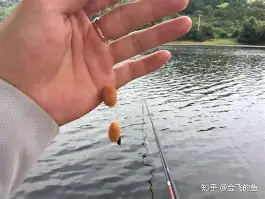 开挂技巧“水鱼天下金州水鱼辅助”(免费)开挂辅助教学(最新辅助开挂教程)