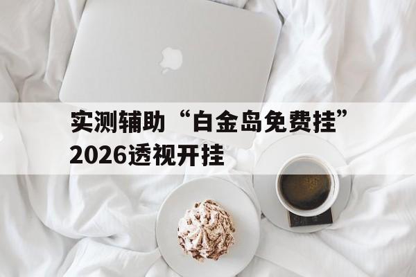 实测辅助“白金岛免费挂”2026透视开挂